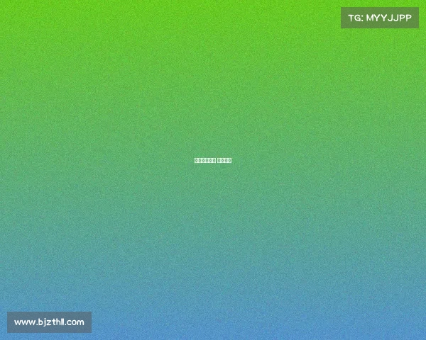 女子自由搏击 赛事视频