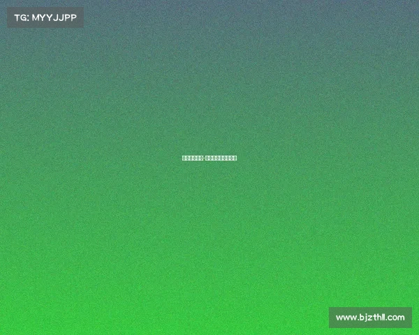 尚武拳皇赛事-拳王尚卡尔在线电影